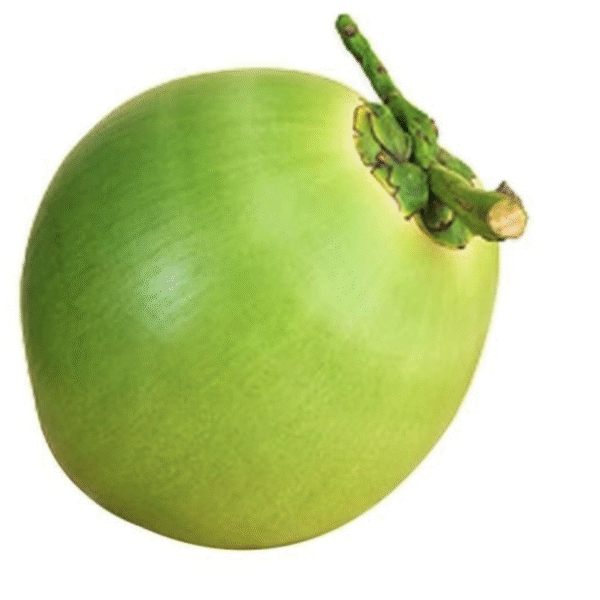 Tender coconut